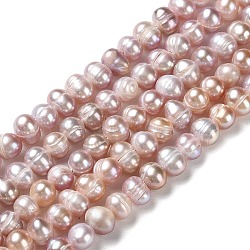 Natural Cultured Freshwater Pearl Beads Strands, Potato, Grade A+, Rosy Brown, 4~7x4.5~5mm, Hole: 0.5mm, about 69pcs/strand, 13.27~13.62 inch(33.7~34.6cm)(PEAR-E018-79B)