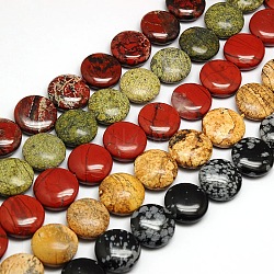 Natural & Synthetic Gemstone Beads Strands, Flat Round Strands, 20x7~9mm, Hole: 1mm, about 20pcs/strand, 15.74 inch(G-L246-M)