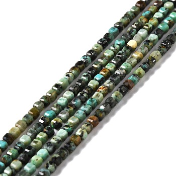 Natural African Turquoise(Jasper) Beads Strands, Faceted, Cube, 2.5x2.5x2.5mm, Hole: 0.7mm, about 170pcs/strand, 15.35''(39cm)