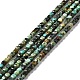Natural African Turquoise(Jasper) Beads Strands(G-D467-A13)-1