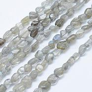 Natural Labradorite Beads Strands, Tumbled Stone, Nuggets, 5x4mm, Hole: 1mm, 15.7 inch~15.9 inch(40~40.5cm)(G-K203-12)