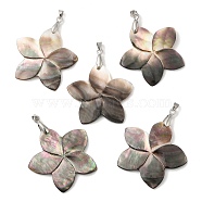 Natural Black Lip Shell Pendants, Flower Charms with Platinum Plated Alloy Snap on Bails, Black, 37~37.5x39x2~2.5mm, Hole: 4x3.5mm(SHEL-M019-03P)