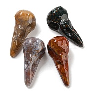 Natural Indian Agate Pendants, Bird Head Skull Charms, 47~49x20~22x20~22mm, Hole: 2~2.5mm(G-M417-06D)