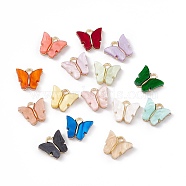 Acrylic Charms, with Light Gold Tone Alloy Finding, Butterfly Charm, Mixed Color, 13x14x3mm, Hole: 2mm(MACR-C012-01KCG)
