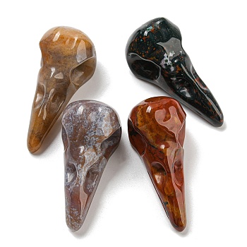 Natural Indian Agate Pendants, Bird Head Skull Charms, 47~49x20~22x20~22mm, Hole: 2~2.5mm