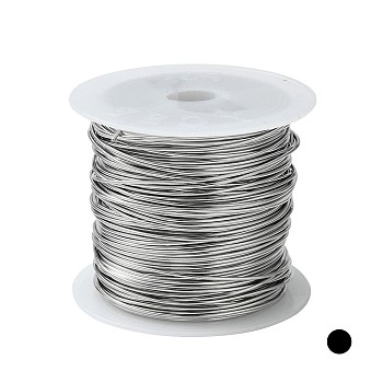 Non-Tarnish 316 Surgical Stainless Steel Wire, for Jewelry Making, Stainless Steel Color, 20 Gauge, 0.8mm, about 26.24 Feet(8m)/roll