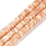 Natural Trochid Shell/Trochus Shell Beads Strands, Column, Brown, 6x2mm, Hole: 0.8mm, about 172pcs/strand, 15.5 inch(39.5cm)(SSHEL-L016-13F)