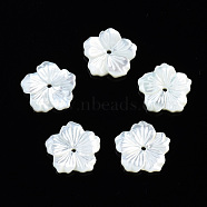 Natural White Shell Mother of Pearl Shell Beads, Flower, 12x12x2mm, Hole: 1mm(SSHEL-T014-42A)