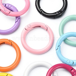 10Pcs 10 Colors Spray Painted Eco-Friendly Alloy Spring Gate Rings, O Rings, Snap Clasps Ring, Cadmium Free & Nickel Free & Lead Free, Mixed Color, 6 Gauge, 25x4mm, 1pc/color(FIND-YW0002-27)