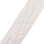 Polyester Silk Door String Curtain, Ribbon Thread Fringe, Strip Tassels, for Room Divider, Wedding Coffee House Restaurant, White, 2x1m(AJEW-CJC0001-16A)