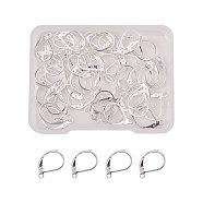 304 Stainless Steel Leverback Earring Findings, with Loop, Silver Color Plated, 10x15x2mm, Hole: 1mm, 50pcs/box(STAS-NB0004-04S)