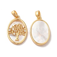 Brass Shell Pendants, with Cubic Zirconia, Oval with Tree of Life Pattern, Real 18K Gold Plated, 21.5x14x3mm, Hole: 3.4x2mm(KK-M243-34G)