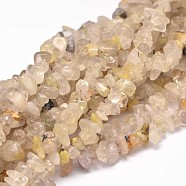 Chip Natural Gold Rutilated Quartz Bead Strands, 5~14x5~10mm, Hole: 1mm, about 33.85 inch(G-L454-01)