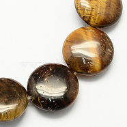 Natural Tiger Eye Stone Bead Strands, Flat Round, 16x5mm, Hole: 1mm, about 25pcs/strand, 16.5 inch(X-G-S110-15)