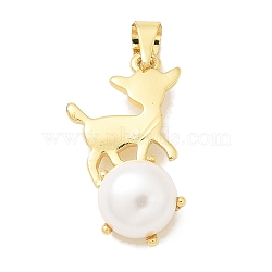 Rack Plating Brass Pendants, with ABS Imitation Pearl, Long-Lasting Plated, Lead Free & Cadmium Free, Real 18K Gold Plated, Deer, 21x12x7mm, Hole: 4x3mm(KK-K293-24O-G)