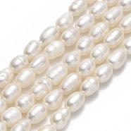 Natural Cultured Freshwater Pearl Beads Strands, Rice, Linen, 5.5~8.5x4~4.5mm, Hole: 0.6mm, about 51~54pcs/strand, 13.78''(35cm)(PEAR-J006-16A-01)
