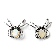 Dual-use Items Alloy Spider Brooch, with Natural Paua Shell, Antique Silver, PapayaWhip, 46x54x12mm, Hole: 4x3.5mm(JEWB-C026-06J-AS)