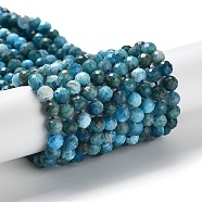 Natural Apatite Beads Strands, Faceted, Round, 5mm, Hole: 0.8mm, about 78pcs/strand, 15.16 inch(38.5cm)(G-J400-E01-03)
