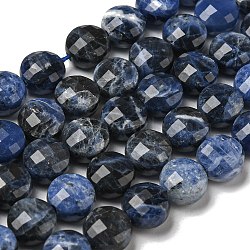 Natural Sodalite Beads Strands, Faceted, Flat Round, 7~8x5~6mm, Hole: 1.2mm, about 47~49pcs/strand, 13.82''~14.57''(35.1~37cm)(G-K351-A03-02)