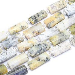 Natural White African Opal Beads Strands, Rectangle, Faceted, 27~29x13~14x6~7mm, Hole: 1.5mm, about 12pcs/Strand, 14.96 inch(38cm)(G-E530-16F)