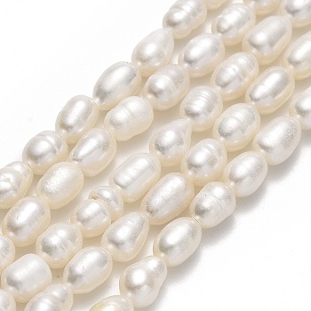 Natural Cultured Freshwater Pearl Beads Strands, Rice, Linen, 5.5~8.5x4~4.5mm, Hole: 0.6mm, about 51~54pcs/strand, 13.78''(35cm)