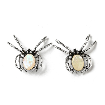 Dual-use Items Alloy Spider Brooch, with Natural Paua Shell, Antique Silver, PapayaWhip, 46x54x12mm, Hole: 4x3.5mm