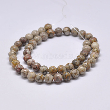 Natural Maifanite/Maifan Stone Beads Strands(G-F353-6mm)-2