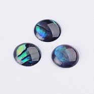 Abalone Shell/Paua Shell Cabochons, Half Round/Dome, Colorful, 8x1~1.5mm(SSHEL-K003-8MM)