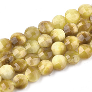 Natural Tiger Eye Beads Strands, Faceted, Flat Round, 6x4.5mm, Hole: 1mm, about 67pcs/strand, 15.5 inch(G-T108-10)