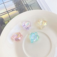 Transparent Acrylic Pendants, Faceted Heart, Mixed Color, 22.6x19.2x13.3mm, Hole: 3.5mm(OACR-E029-02)
