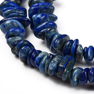 Natural Lapis Lazuli Chip Bead Strands(G-M205-14)-4