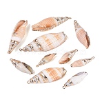 Electroplate Natural Sea Shell Big Pendants, Shell Shape Charms, with Iron Loops and Brass Findings, Sandy Brown, Light Gold, 24~53x7~17x7~16mm, Hole: 1.6~1.8mm(SSHEL-Q100-28KCG)