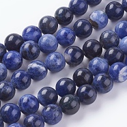 Natural Sodalite Beads Strands, Round, 10mm, Hole: 1mm(G-G448-10mm-25)
