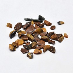 Natural Tiger Eye Chip Beads, No Hole, 3~5x2~4mm, about 8500pcs/500g(G-O103-19)