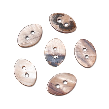 2-Hole Dyed Natural Shell Buttons, Horse Eye, Mixed Color, 29.5x20.5x2mm, Hole: 3mm