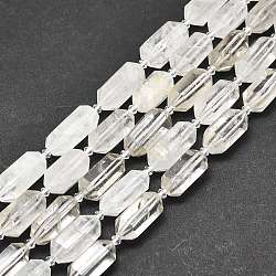 Natural Quartz Crystal Beads Strands, Rock Crystal Beads, Faceted, Double Terminated Pointed/Bullet, 25~27x13~15x12~13mm, Hole: 1.2mm, about 12~13pcs/strand, 15.35 inch(39cm)(G-F715-061)