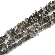 Natural Smoky Quartz Beads Strands, Chip, 3~11x3~5x1~4mm, Hole: 1mm, about 380~400pcs/strand, 33 inch(X-G-S315-13)