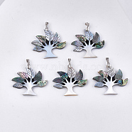 Shell Pendants, with Brass Findings, Tree, Platinum, 46x48x3.5~4mm, Hole: 6x4mm(SHEL-S275-07)