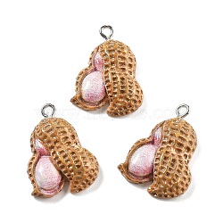 Opaque Resin Pendants, Imitation Vegetable & Fruit, with Platinum Tone Iron Loop, Peanut, 24.5x18x6mm, Hole: 2mm(RESI-S013-02F)