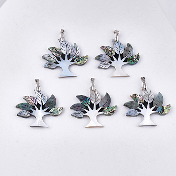 Shell Pendants, with Brass Findings, Tree, Platinum, 46x48x3.5~4mm, Hole: 6x4mm