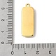 pendientes de concha Paua(SSHEL-B145-01D-G)-3