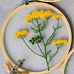 DIY Transparent Fabric Embroidery Kits, with Polyurethane Elastic Fibre and Plastic Frame & Iron Needle & Colored Thread, Flower Pattern, 21x20x0.9cm, Inner Diameter: 18cm(DIY-K032-79B)