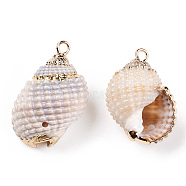 Electroplated Natural Spiral Shell Pendants, Shell Charms, with Golden Tone Iron Loops, Seashell Color, 20~29x12~18x10~16mm, Hole: 1.6mm and 1.2~1.5mm(SSHEL-T009-16-A01)