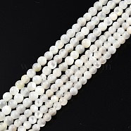 Natural White Shell Bead Strands, Round, 2~2.5mm, Hole: 0.6mm, about 172~173pcs/strand, 14.57 inch~14.69 inch(37~37.3cm)(X-SSHEL-N003-144A-01)