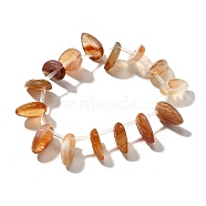 Natural Red Agate Beads Strands, Leaf, Top Drilled, 17~18x13~14x5~6mm, Hole: 0.9mm, about 15pcs/strand, 8.07''(20.5cm)(G-P561-A03-01)