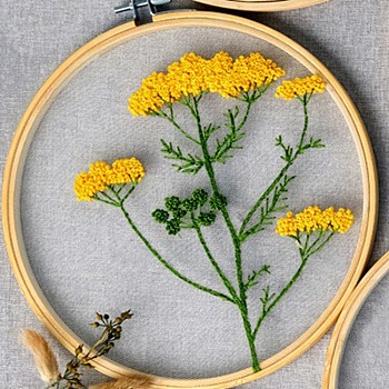 DIY Transparent Fabric Embroidery Kits, with Polyurethane Elastic Fibre and Plastic Frame & Iron Needle & Colored Thread, Flower Pattern, 21x20x0.9cm, Inner Diameter: 18cm