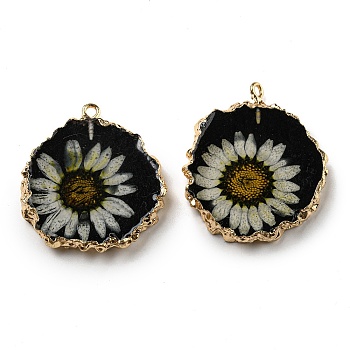 Inner Dried Flower Resin Pendants, Flat Round Charms with Light Gold Plated Brass Edge and Iron Loops, Black, 34~36x30~31.5x4.5~5.5mm, Hole: 2mm