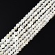 Natural White Shell Bead Strands(X-SSHEL-N003-144A-01)-1