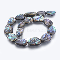Natural Abalone Shell/Paua Shell Shell Beads Strands, Nuggets, 21~27x15~20x5~9mm, Hole: 0.8mm, about 16pcs/strand, 15.5 inch(39.5cm)(SSHEL-P014-05)