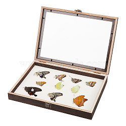 Wood Jewelry Presentation Boxes with White EVA Foam Mat Inside, Flap Cover Insect Specimen Display Case with Visible Acrylic Window, Rectangle, Coconut Brown, 31.2x22x4.7cm(ODIS-WH0061-06A)